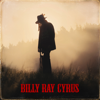 You re Not Here - Billy Ray Cyrus mp3