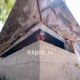 Reborn Single