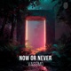 Now or Never Single