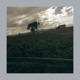 Quiet Mind Single