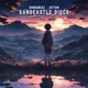 Sandcastle Disco Single