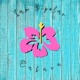 Cabana Single