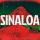 Sinaloa Single