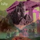 Holy Mountain Single