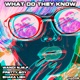 What Do They Know feat Shaka Lish Single