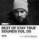 Best Of Stay True Sounds Vol 5 Mixed By Kid Fonque DJ Mix
