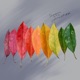 Seasons feat BAD ONE Chris Canon girlsafterknives Circa Kvng Flvcko Dylan McLean Single
