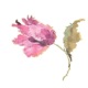 A FLOR DE PIEL Single