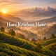 Hare Krishna Hare Hindustani Single