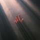 Catch Me I m Falling Single