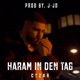 Haram in den Tag Single