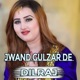 Jwand Gulzar De Single