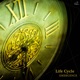 Life Cycle Emergence