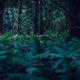 green to blue rain version EP
