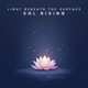 Light Beneath the Surface