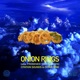Onion Rings feat Citation Sounds Single