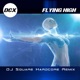 Flying High Dj Square Hardcore Remix Single