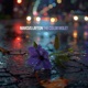 The Color Violet Single
