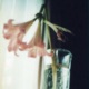 Perspectives entry 2 Single