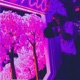 Out My Mind Single