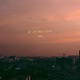 È La Mia Vita Single