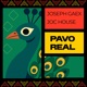 Pavo Real Single
