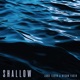 Shallow Single