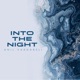 Into The Night feat Bilgehan Ünver Single