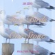 Two Birds One Stone Single
