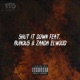Shut It Down feat Zanda Elwood Ruinous Single
