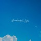 Wonderful Life feat John Skyfield Single
