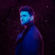 Into the Dark Single