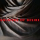 Soldiers of Desire Single