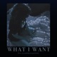 What I Want feat 646Antoni Single