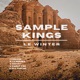Sample Kings EP