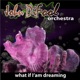 What If I am Dreaming Single