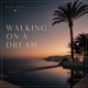Walking On A Dream Single