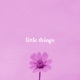Little Things Single