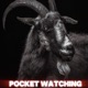 Pocket Watching Single
