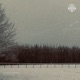 seeking for the northern star Single