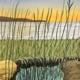 bay farm Single