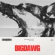 BIGDAWG feat POLO PERKS 3 3 3 Single