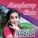 Mengharap Cinta Single