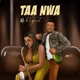 Taa Nwa Speed up Single