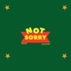 Not Sorry Single