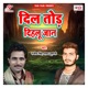 Dil Tod Dihlu Jaan Single