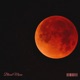 Blood Moon Single