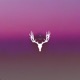 Nightfall Single