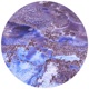GEYSER Single