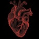 Is Love Hard Enough feat TDG Loo TDG Lucid Single